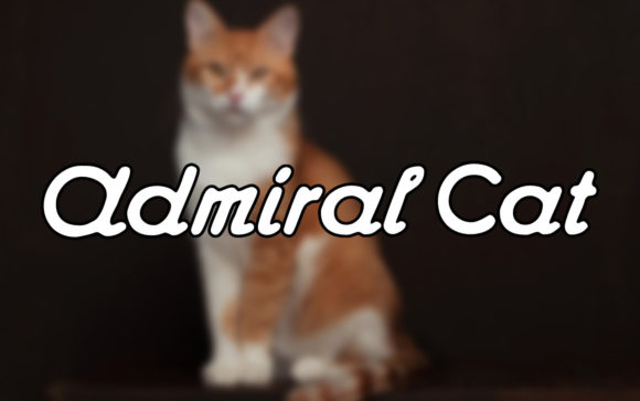 Admiral Cat: A Vintage Handwritten Font That Elevates Design