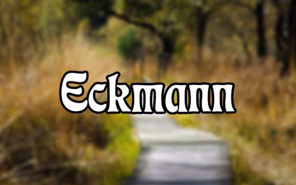 Eckmann: A Timeless Serif Font for Creative Expression