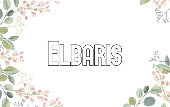 Elbaris: A Creative and Minimalistic Sans Serif Font for Modern Design