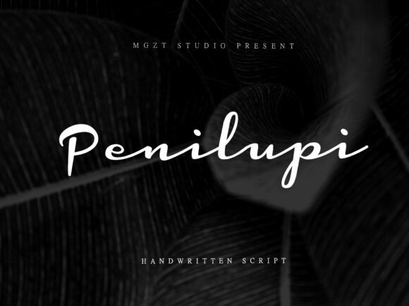 Penilupi: A Retro Revival in Typography