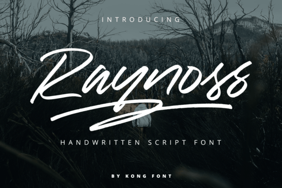 Raynoss: A Playful Handwritten Font for Creative Expression